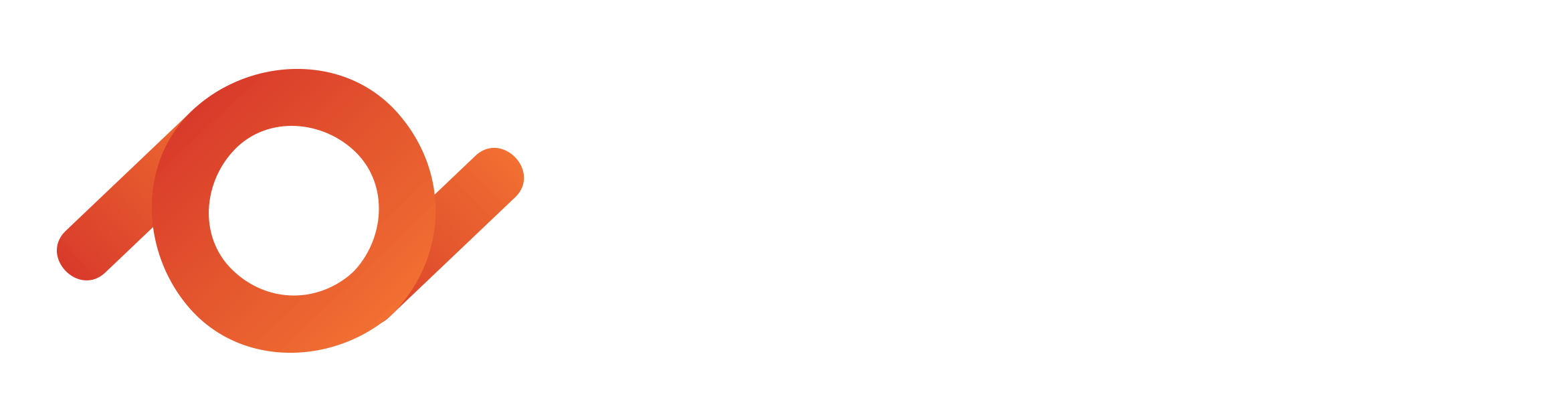 logo dataproject blanc